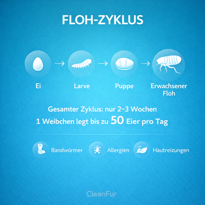 CleanFur - Weil dein Tier Fürsorge ohne Chemie verdient