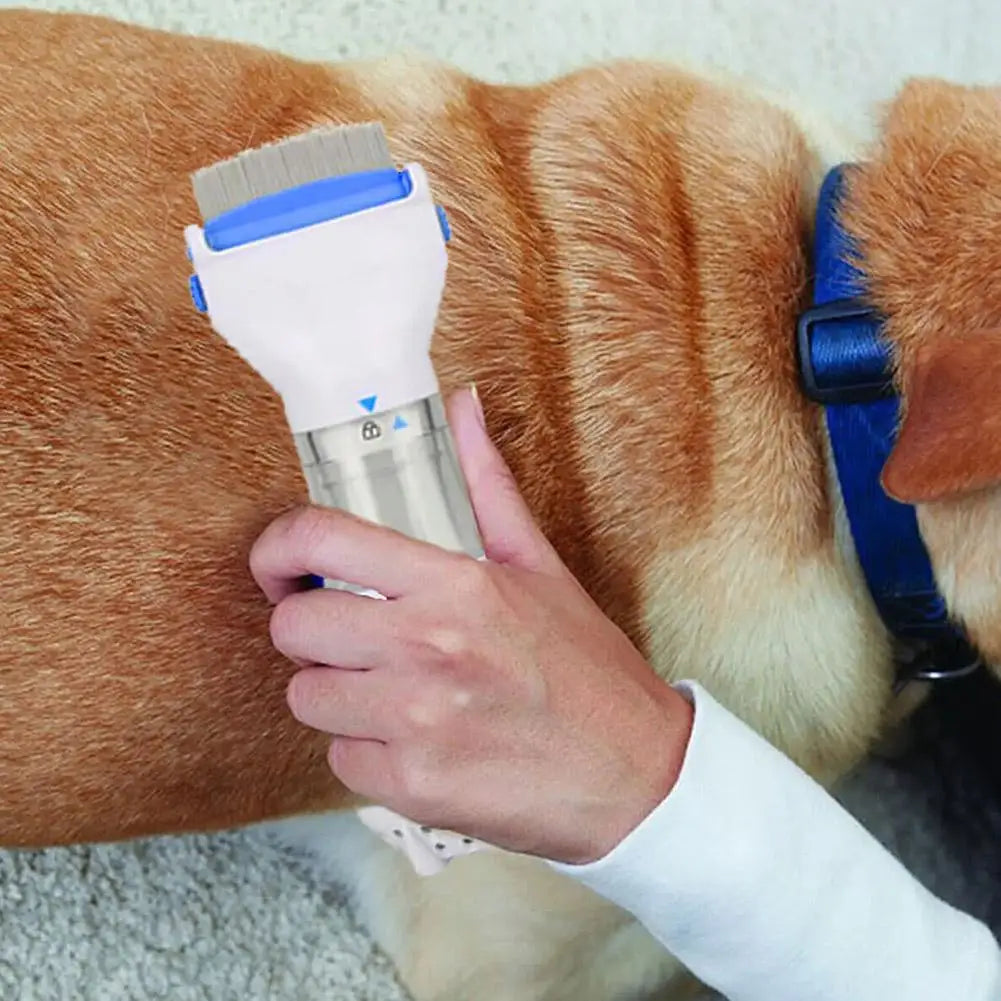 CleanFur Elektrischer Floh- & Läusekamm 3in1